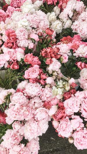 Blooming Peony Collection Wallpaper