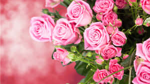 Blooming Pink Rose Bouquet Wallpaper