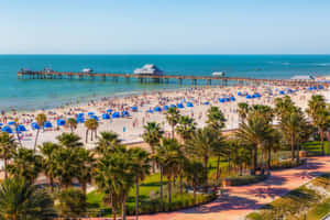 Blooming Spring Getaway Wallpaper