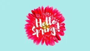 Blooming Spring Pastel Scenery Wallpaper