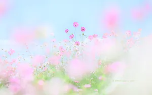 Blooming Spring Pastel Wonderland Wallpaper