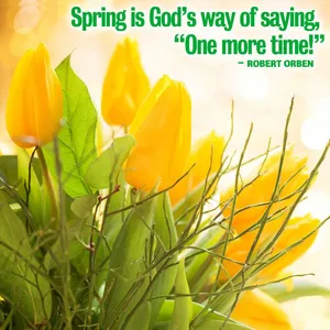 Blooming Trees In Serene Spring Scene Wallpaper