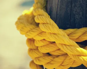 Blossoming Lavender Field Wallpaper