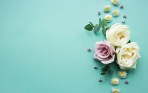 Blossoming Pink Cherry Tree - A Promise Of Spring Wallpaper