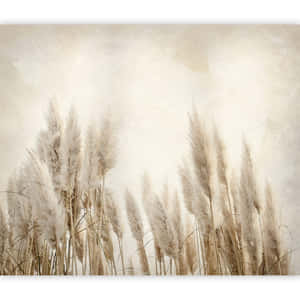 Blowing In The Wind - Pampas Grass Wallpaper