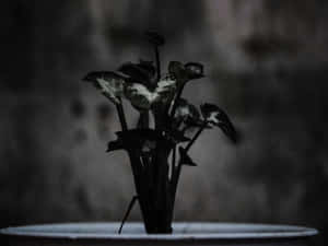 Blue Abstract Background With Focal Point. Wallpaper