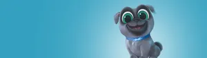 Blue Bingo Banner Puppy Dog Pals Wallpaper
