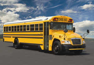 Blue Bird Vision School Bus Wallpaper