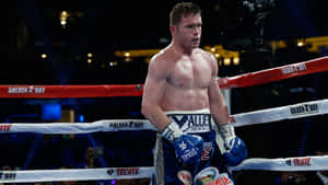 Blue Boxing Gloves Of Boxing Champion Saul 'canelo' Alvarez Wallpaper