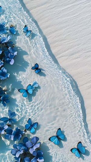 Blue Butterflies By Ocean Shore Wallpaper