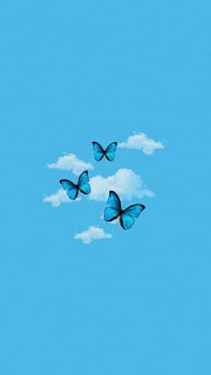 Blue Butterflies Flying In The Sky Wallpaper