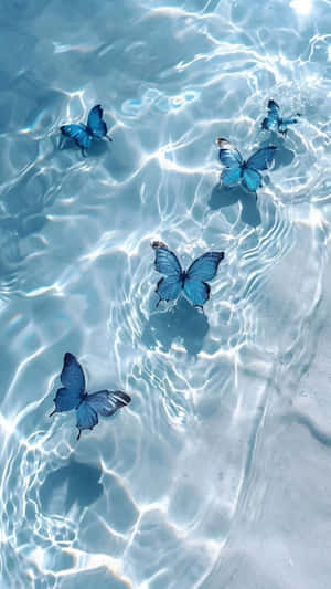Blue Butterflies Over Ocean Water Wallpaper
