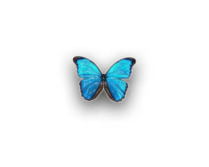 Blue Butterfly Aesthetic Drawing Wallpaper