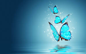 Blue Butterfly Aesthetic Hd Wallpaper