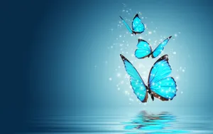 Blue Butterfly Aesthetic Hd Wallpaper