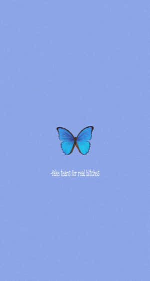 Blue Butterfly Quote Artwork Wallpaper