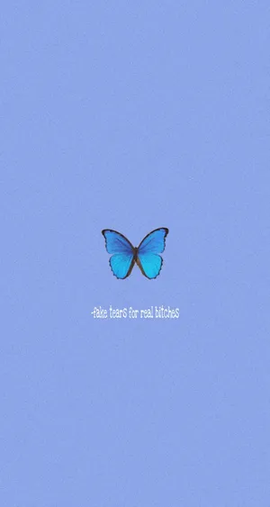 Blue Butterfly Quote Artwork Wallpaper