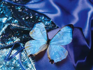 Blue Butterflyon Sequin Fabric Wallpaper