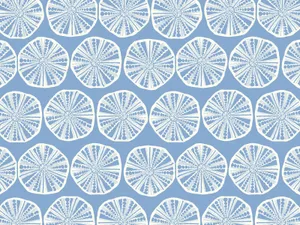 Blue Coastal Sand Dollar Pattern Wallpaper