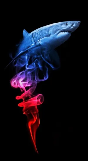 Blue Cool Shark Wallpaper
