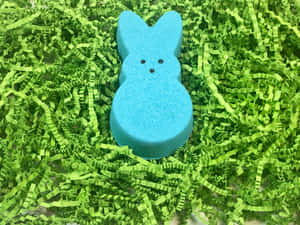 Blue Easter Peepon Green Shredded Paper Wallpaper