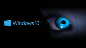 Blue Eyes And Dark Windows Wallpaper