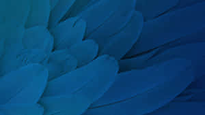 Blue Feather Texture Background Wallpaper