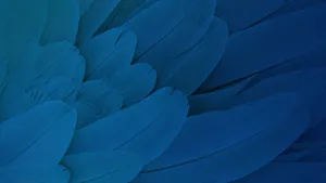 Blue Feather Texture Background Wallpaper