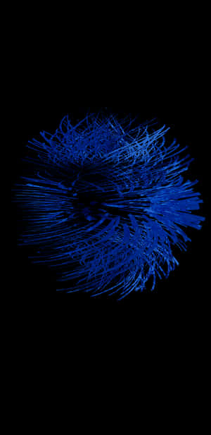 Blue Feathers Super Amoled Display Wallpaper