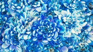 Blue Floral Pattern Wallpaper