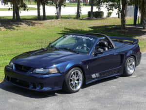 Blue Ford Mustang S V T Cobra Convertible Wallpaper