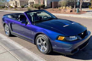 Blue Ford Mustang S V T Cobra Convertible Wallpaper