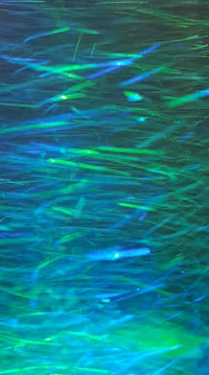 Blue Green Aesthetic Fuzzy Lights Wallpaper