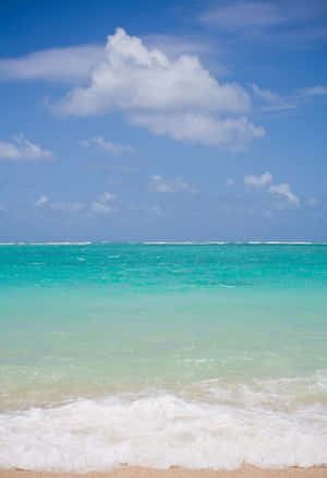 Blue Hawaii - Enjoy The Beautiful Beaches Wallpaper