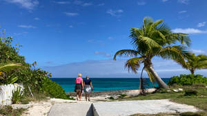 Blue Island And Trees Bahamas Wallpaper