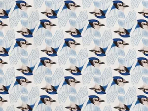 Blue Jay Pattern Background Wallpaper