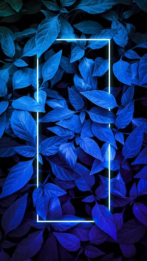 Blue Leaf Glow Neon Frame Wallpaper