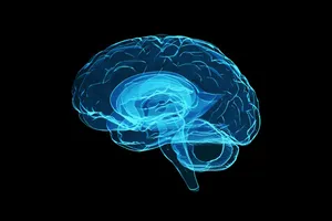 Blue Neural Network Brain Illustration Wallpaper