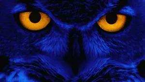 Blue Owl Yellow Eyes Wallpaper