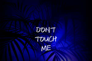 Blue Palm Leaves Dont Touch Me Graphic Wallpaper