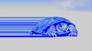 Blue Sea Turtle Art Wallpaper