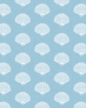 Blue Seashell Pattern Background Wallpaper