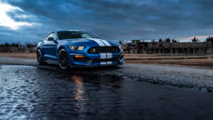 Blue Shelby G T500 Dusk Reflection Wallpaper