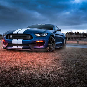 Blue_ Shelby_ G T500_ Dusk_ Scene Wallpaper