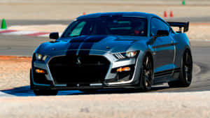 Blue Shelby G T500 Track Performance Wallpaper