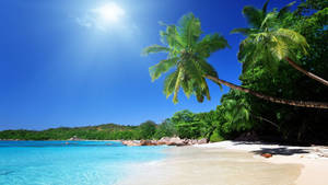 Blue Sky Beach Scenes Desktop Wallpaper