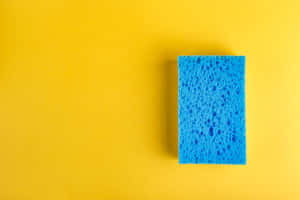Blue Sponge Yellow Background Wallpaper
