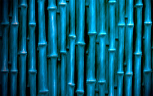 Blue-tinged Bamboo Hd Wallpaper