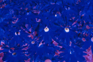 Blue Tinted Floral Abstraction Wallpaper