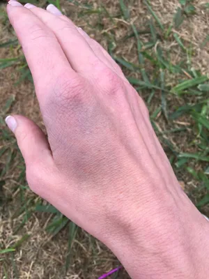 Blue Veins Wallpaper